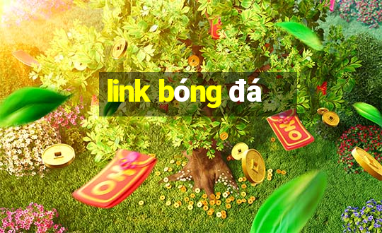 link bóng đá