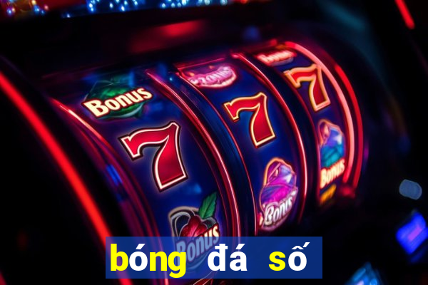 bóng đá số 24h com vn