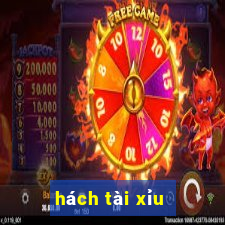 hách tài xỉu