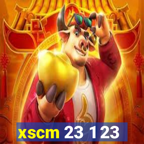 xscm 23 1 23