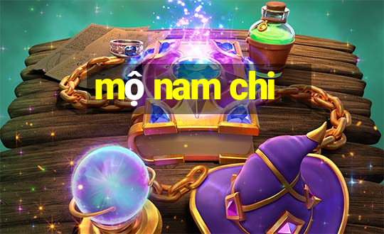 mộ nam chi