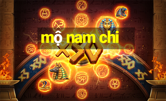 mộ nam chi