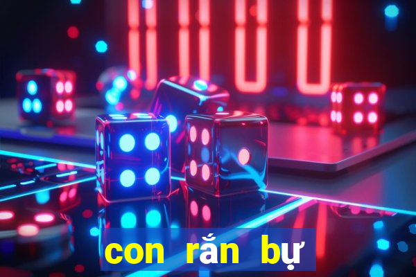 con rắn bự số mấy