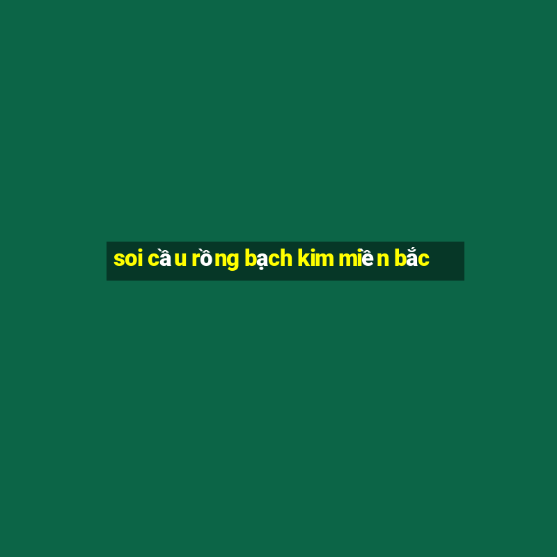 soi cầu rồng bạch kim miền bắc