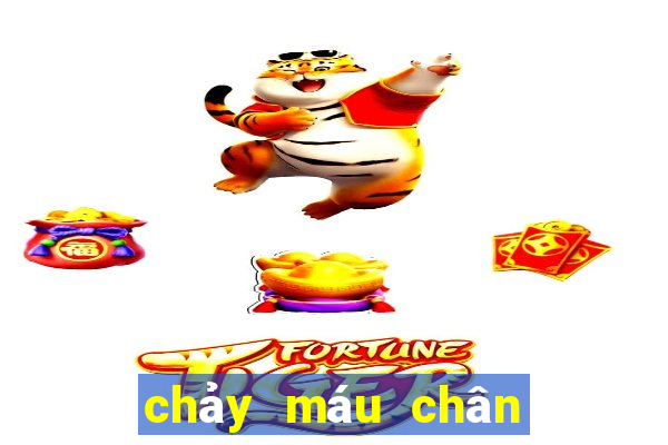 chảy máu chân đánh con gì