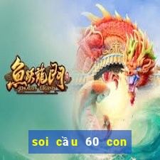 soi cầu 60 con bất bại