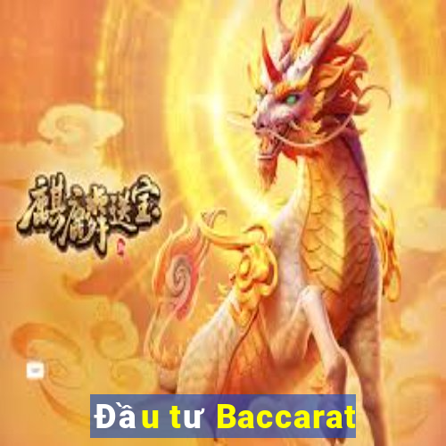 Đầu tư Baccarat