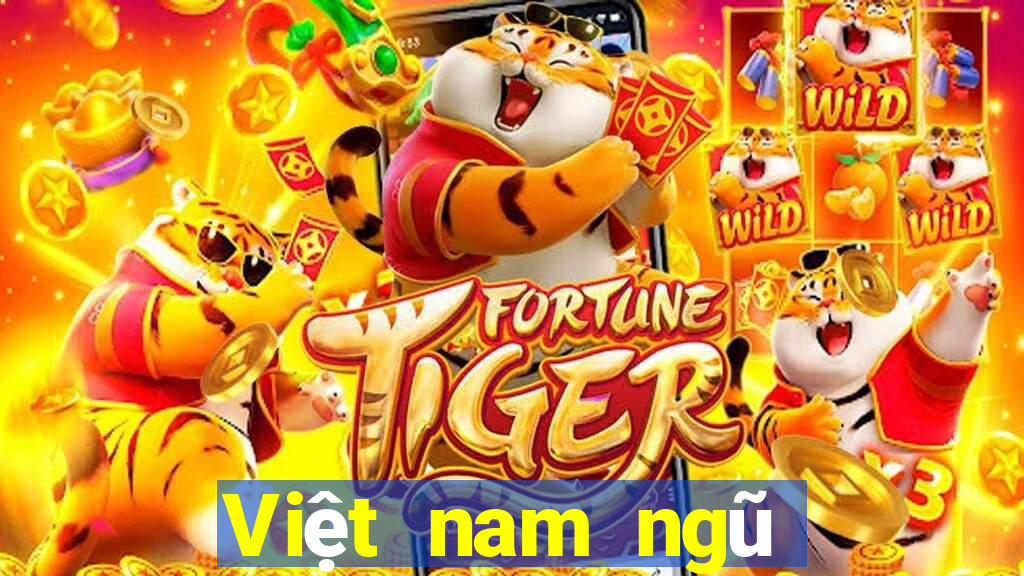 Việt nam ngũ phân xổ số đi bộ