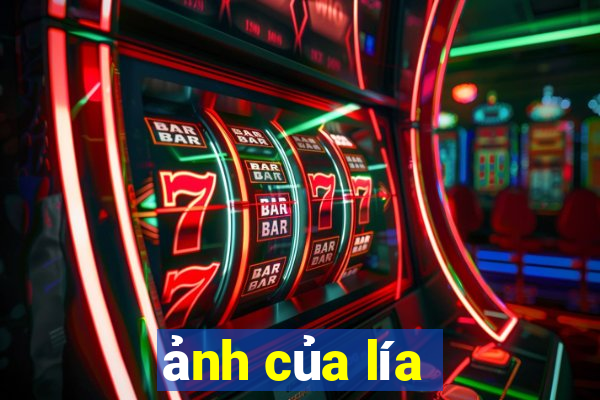 ảnh của lía