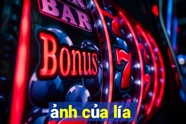 ảnh của lía