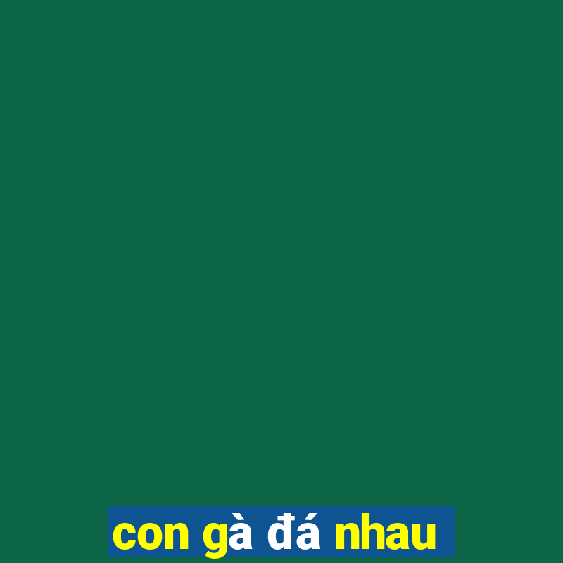 con gà đá nhau