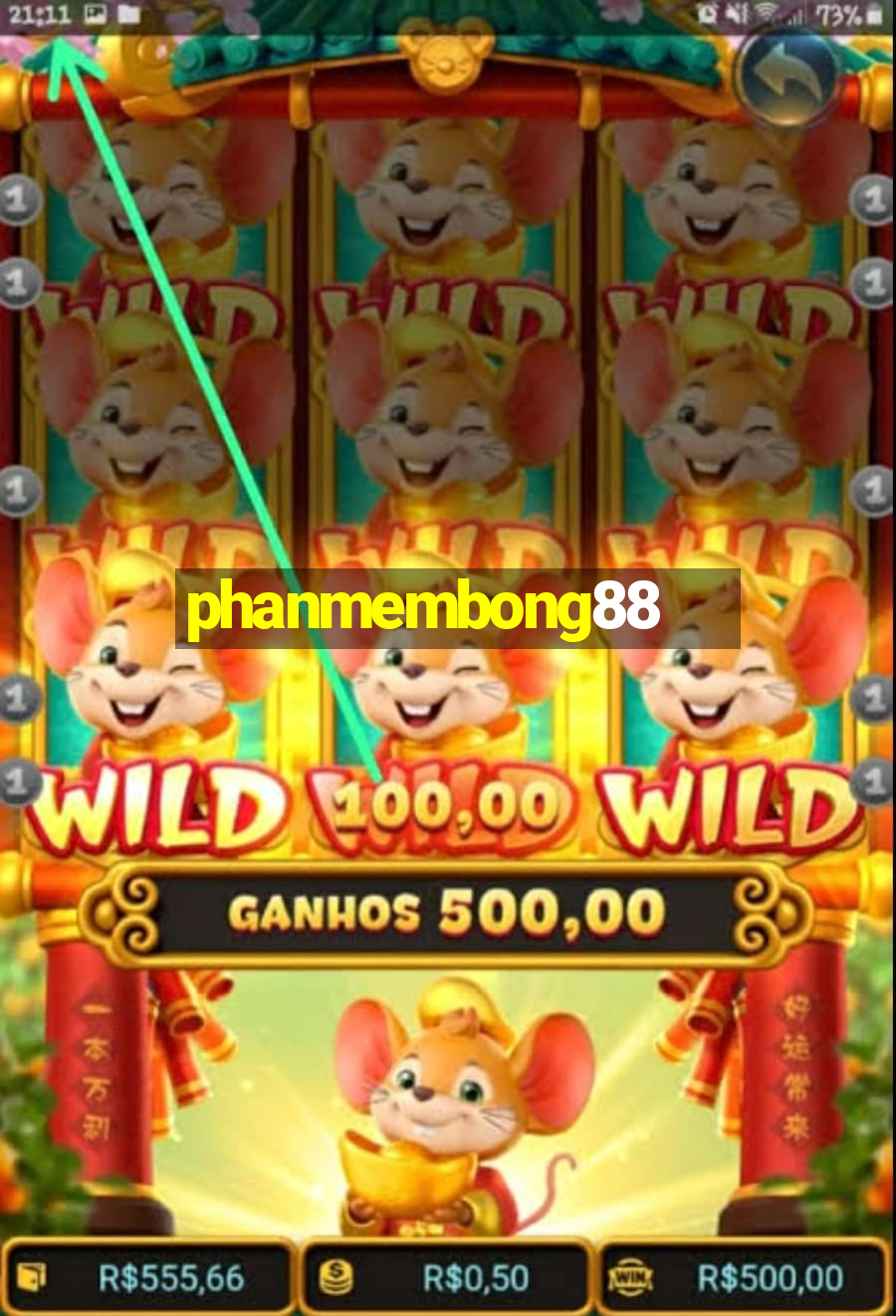 phanmembong88