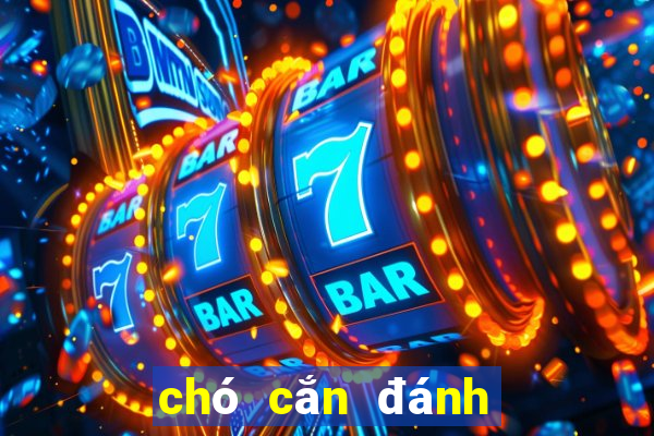 chó cắn đánh con đề gì