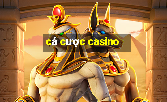 cá cược casino