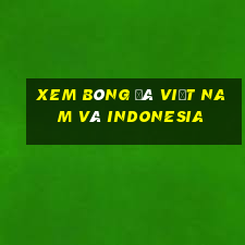 xem bóng đá việt nam và indonesia