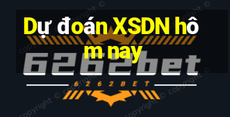 Dự đoán XSDN hôm nay