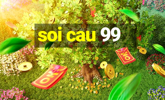 soi cau 99