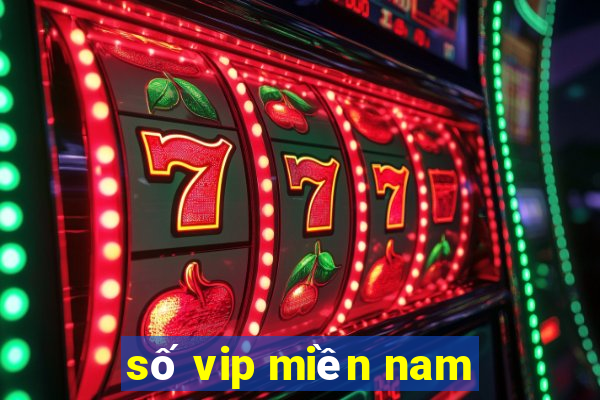 số vip miền nam