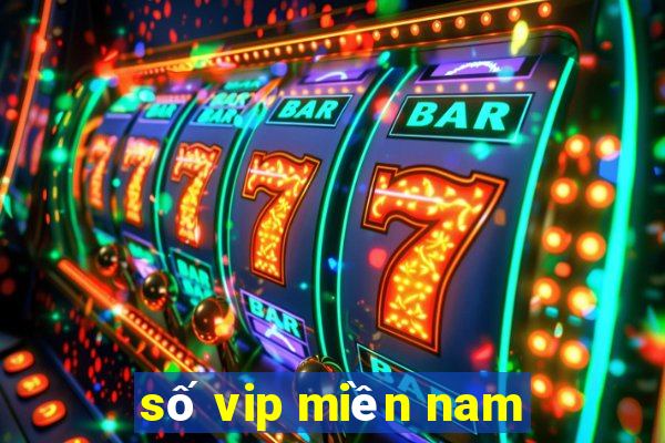 số vip miền nam