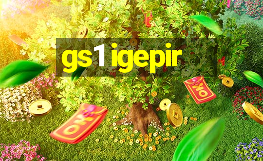 gs1 igepir