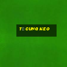 tử cung heo