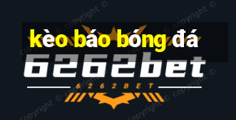 kèo báo bóng đá