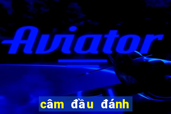 câm đầu đánh con gì