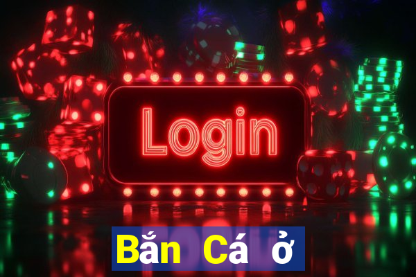 Bắn Cá ở đâu tốt nhất để Bắn Cá