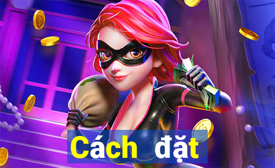 Cách đặt cược XSNT ngày 12