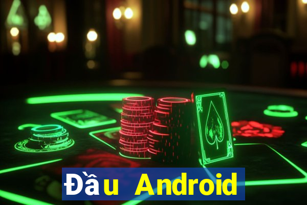 Đầu Android của ceo giải trí