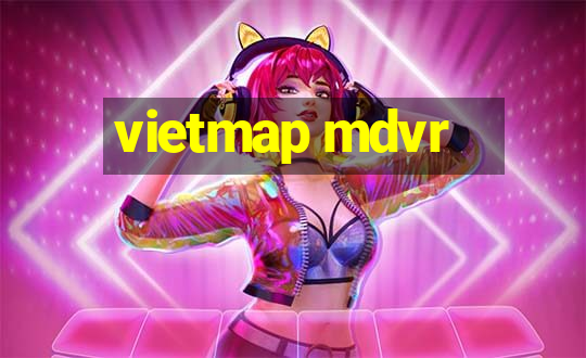 vietmap mdvr