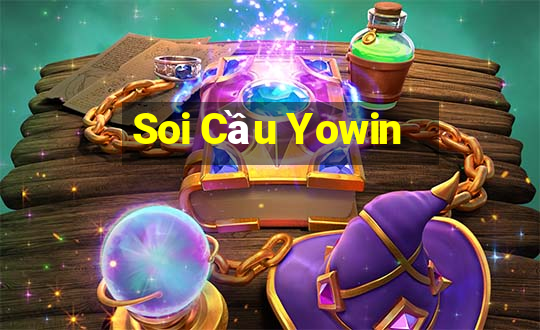 Soi Cầu Yowin