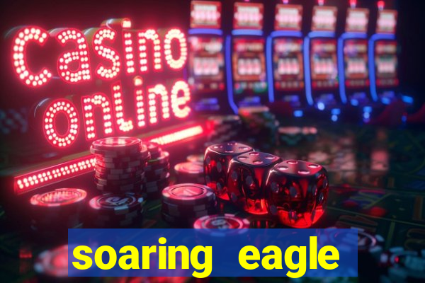 soaring eagle casino blackjack