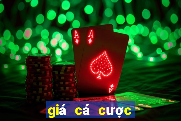 giá cá cược bóng đá hôm nay