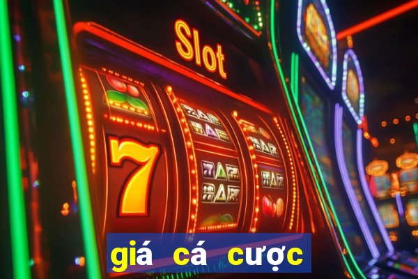 giá cá cược bóng đá hôm nay