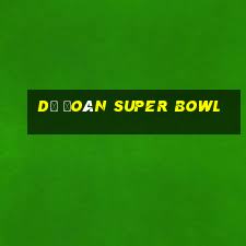 Dự đoán Super Bowl