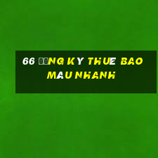 66 Đăng ký thuê bao màu nhanh