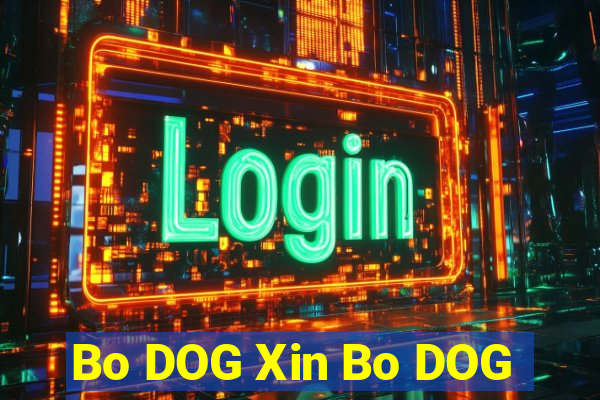 Bo DOG Xin Bo DOG