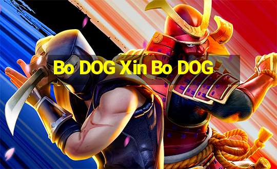 Bo DOG Xin Bo DOG