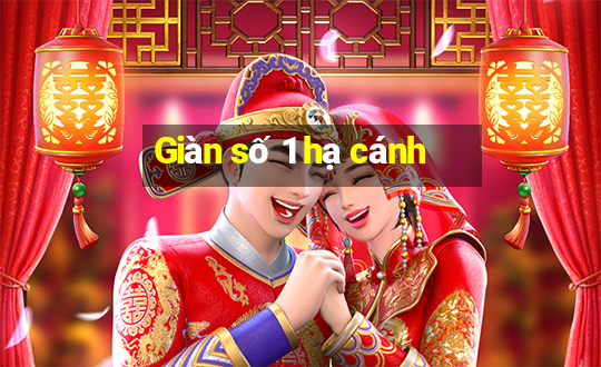 Giàn số 1 hạ cánh