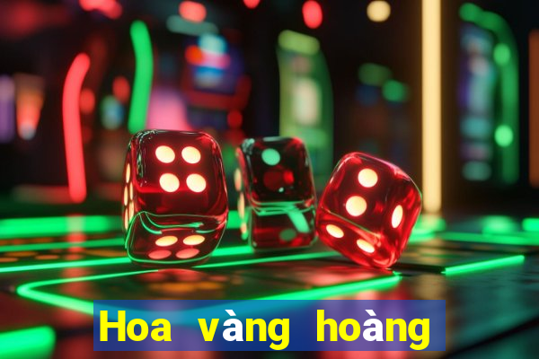 Hoa vàng hoàng gia chiên