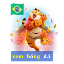 xem bong da truc tiep vtv2