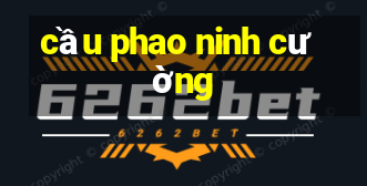 cầu phao ninh cường