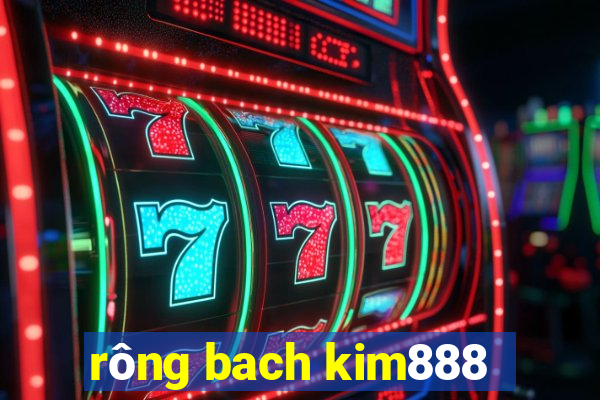 rông bach kim888