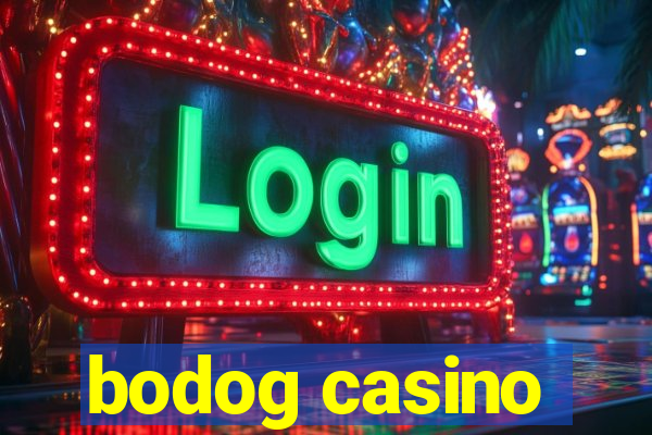 bodog casino