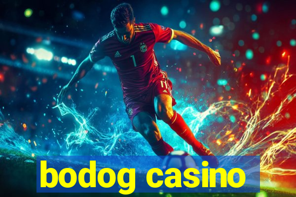 bodog casino