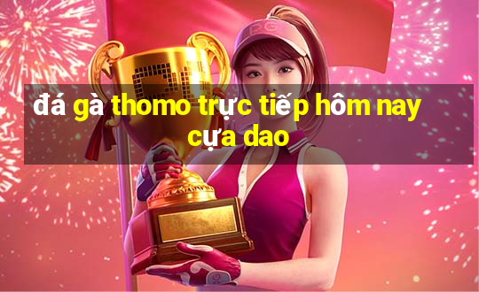 đá gà thomo trực tiếp hôm nay cựa dao