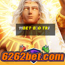 11bet bảo trí