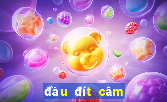 đầu đít câm đánh con gì