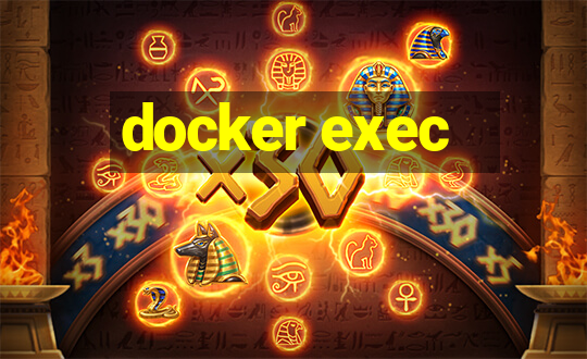 docker exec